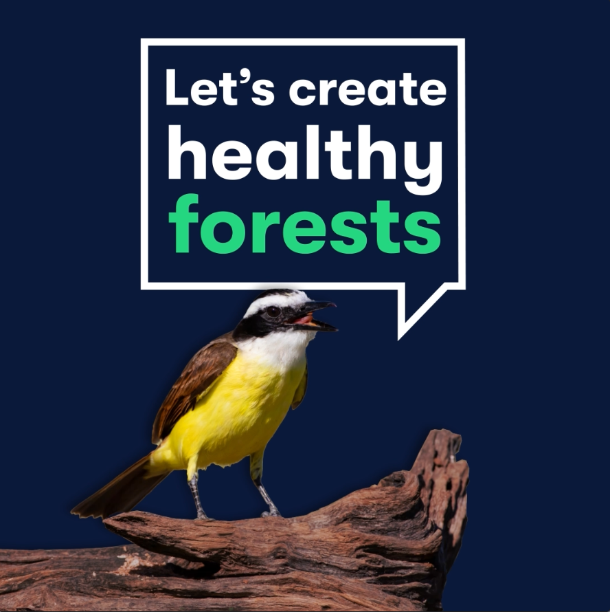 Driving Change: Amplifying American Forests’ Mission with a Dynamic Earth Month Campaign